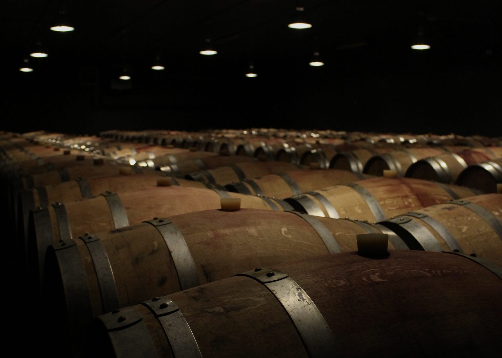 Oak wine barrels aging in a Tuscan winery cellar