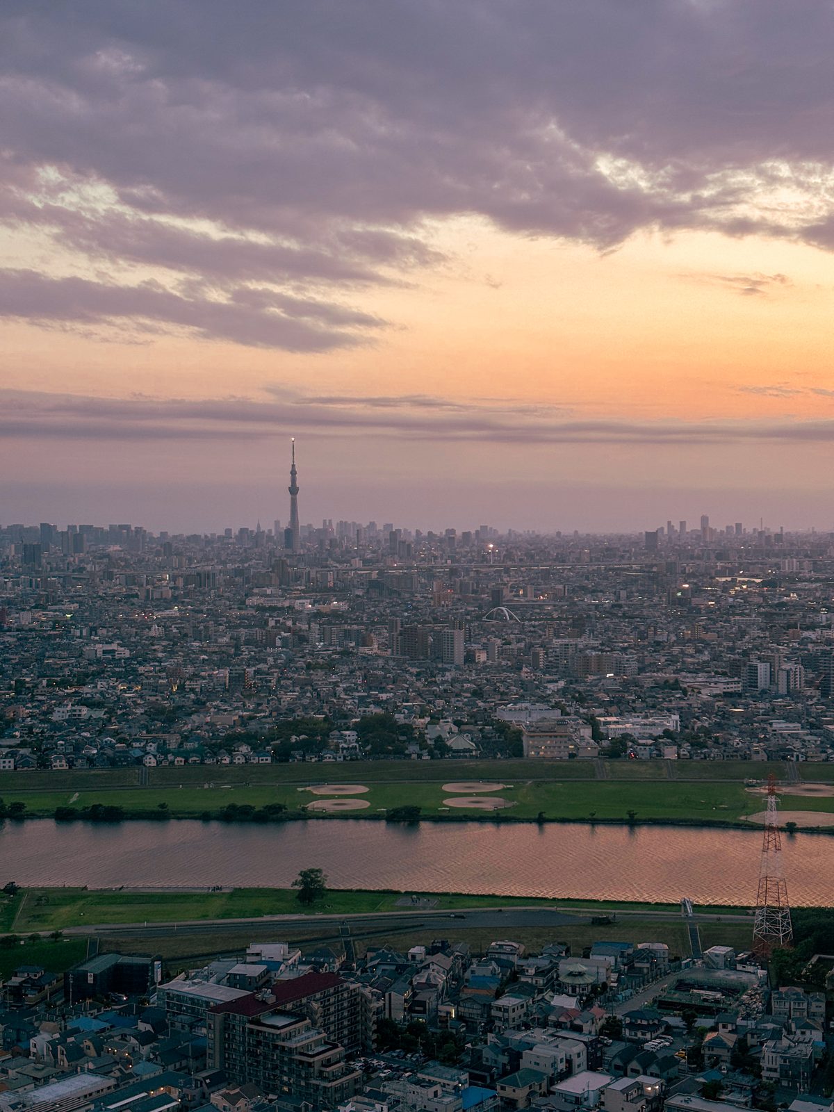 Tokyo skyline with the Skytree at dusk